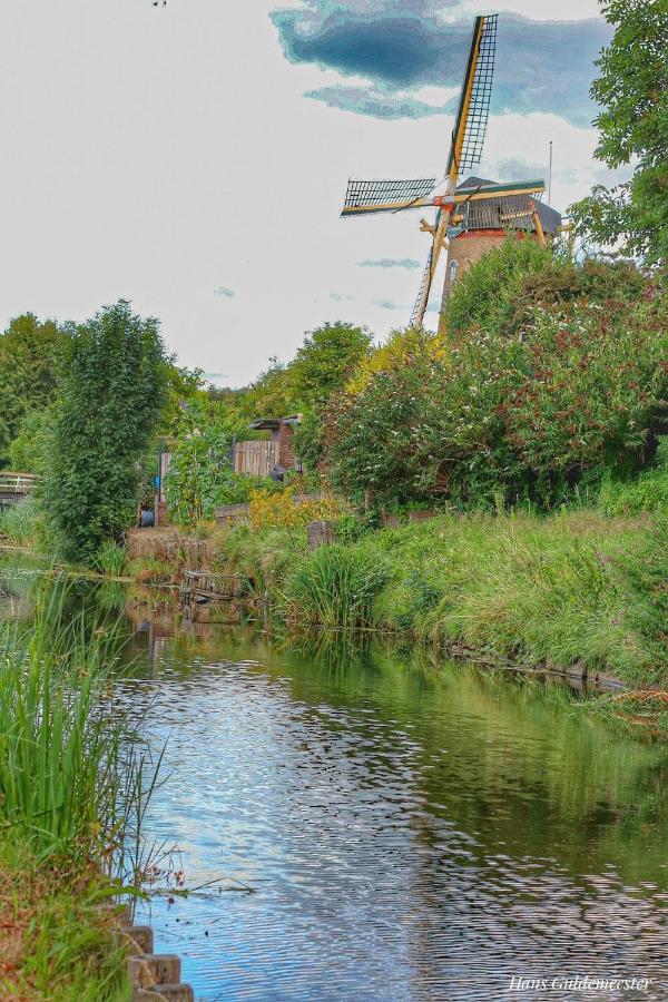 B&B Buutegeweun Sommelsdijk Exterior foto